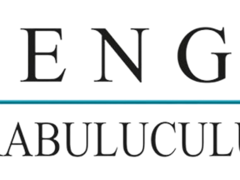 güngören arabuluculuk 